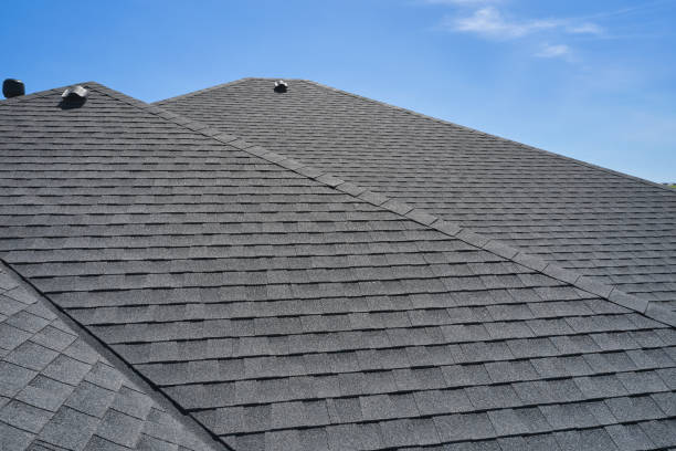 Best Sheet Metal Roofing  in San Pasqual, CA